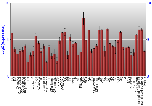 Expression graph