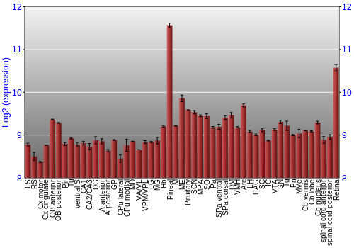Expression graph