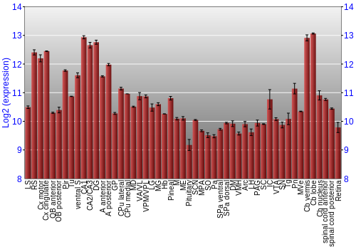 Expression graph