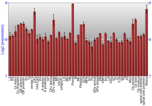 Expression graph