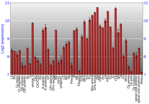 Expression graph