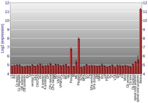 Expression graph