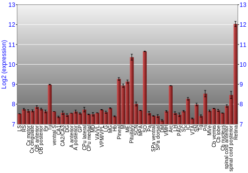 Expression graph