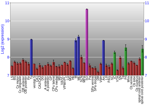 Multi-state expression graph