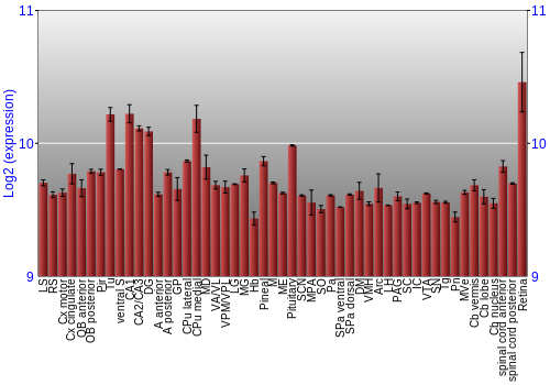 Expression graph