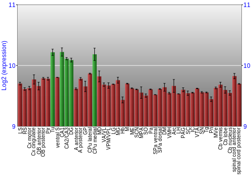 Multi-state expression graph
