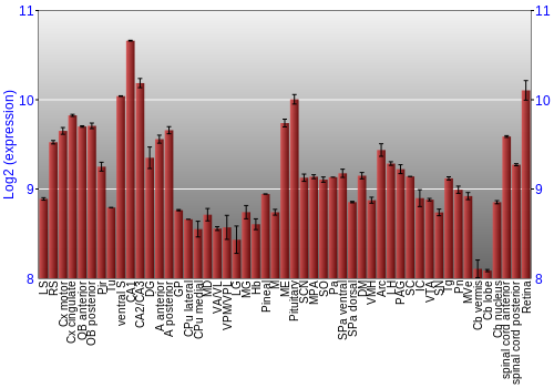 Expression graph