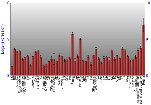 Expression graph