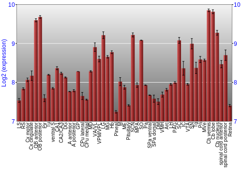 Expression graph