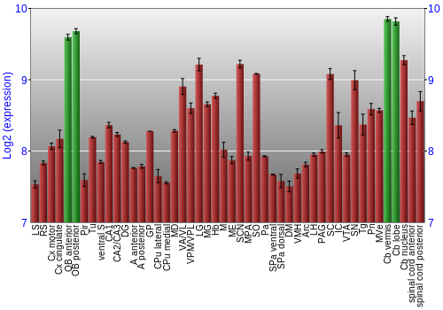 Multi-state expression graph