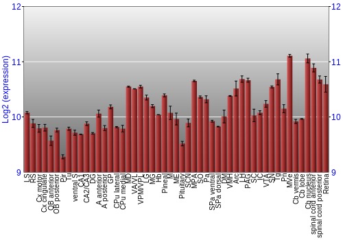 Expression graph