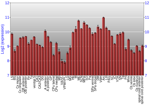 Multi-state expression graph