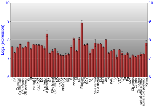 Expression graph
