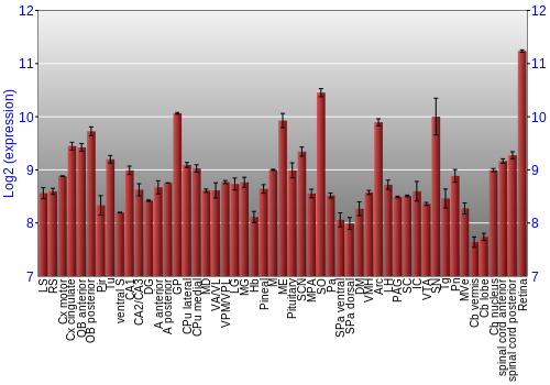 Expression graph