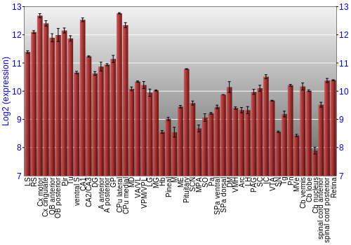 Expression graph