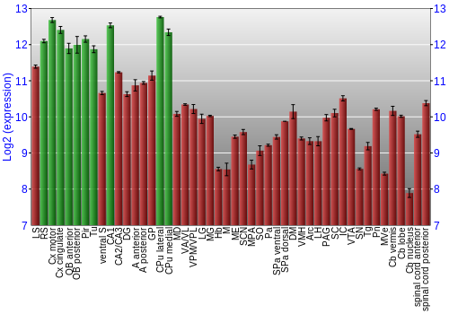 Multi-state expression graph