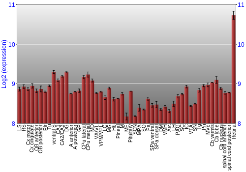 Expression graph