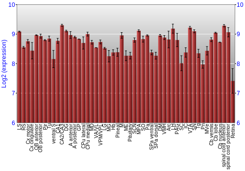 Expression graph