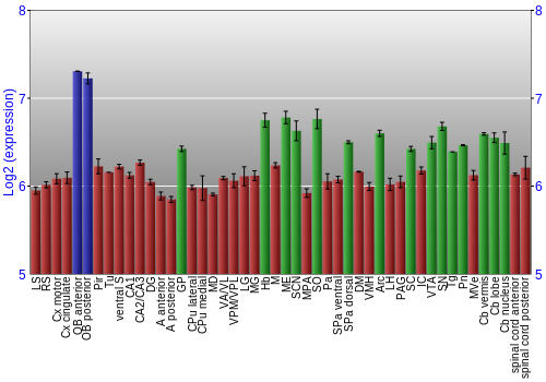 Multi-state expression graph