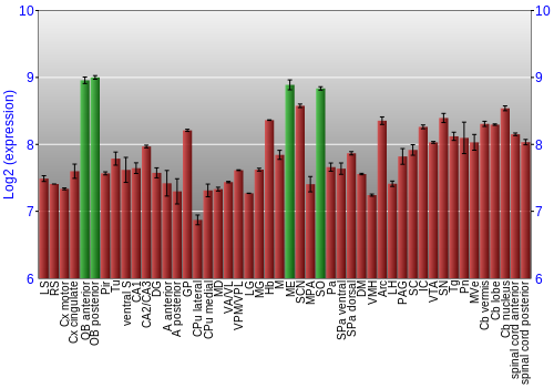Multi-state expression graph