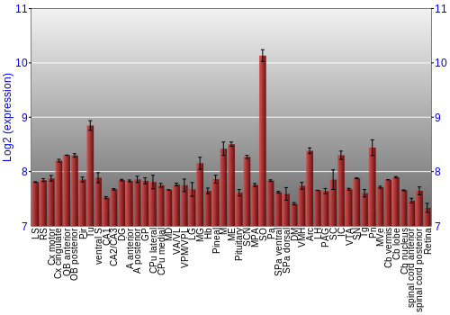 Expression graph