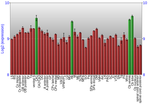 Multi-state expression graph