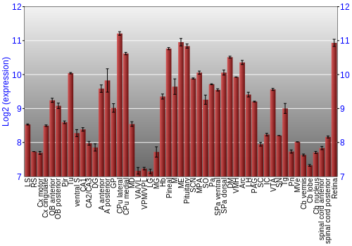 Expression graph