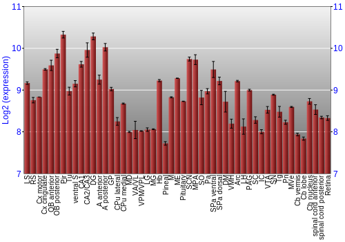 Expression graph