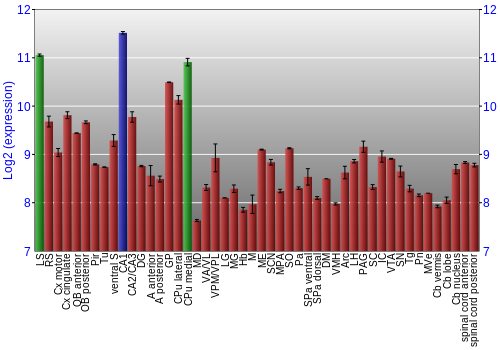 Multi-state expression graph