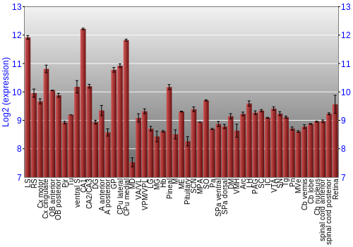 Expression graph