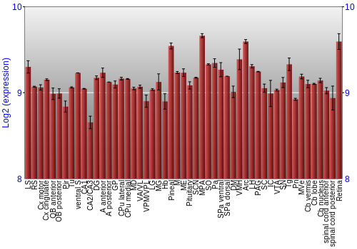 Expression graph