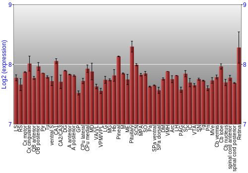 Expression graph