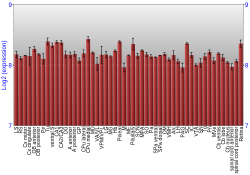 Expression graph