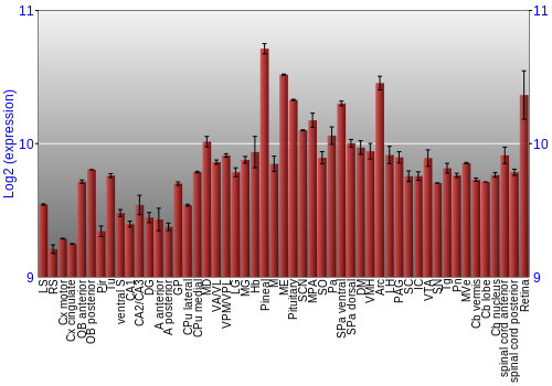 Expression graph