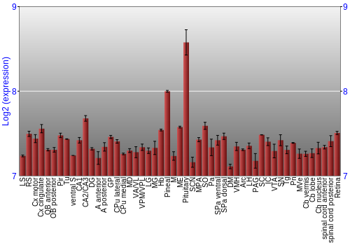 Expression graph