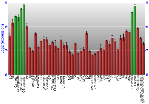 Multi-state expression graph