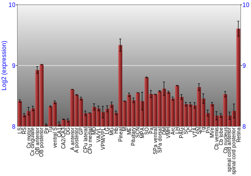 Expression graph
