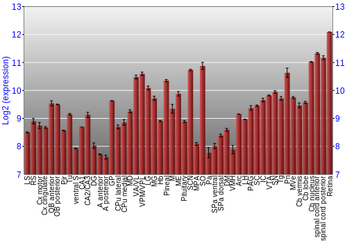 Expression graph