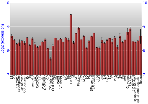 Expression graph