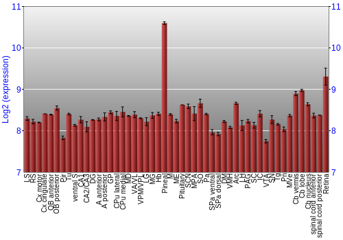 Expression graph