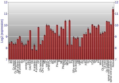 Expression graph