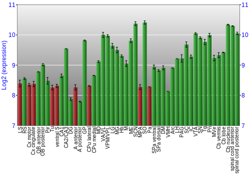 Multi-state expression graph