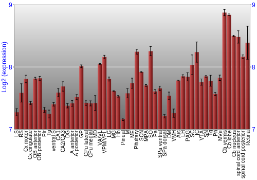 Expression graph