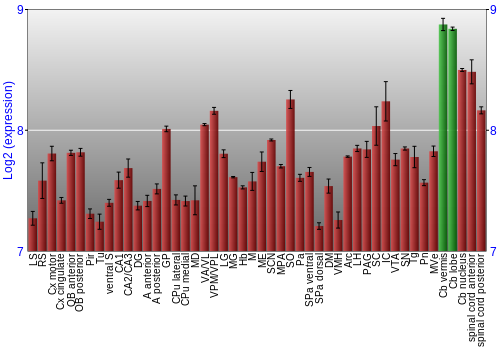 Multi-state expression graph
