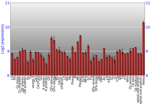 Expression graph