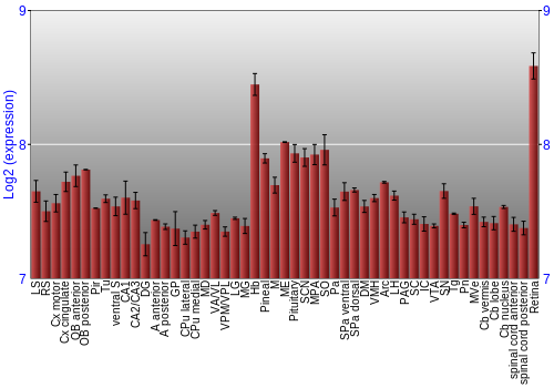 Expression graph