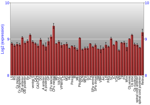 Expression graph