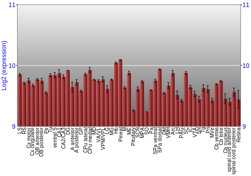 Expression graph