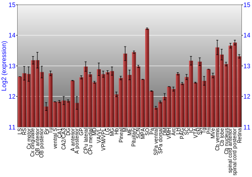 Expression graph