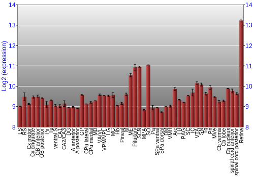 Expression graph